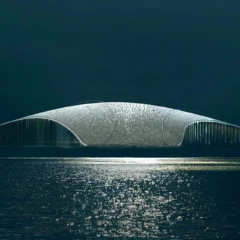 The Whale secures €6.4m in state funding