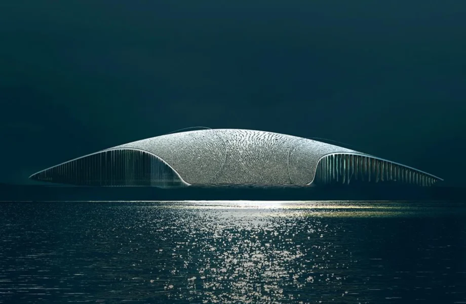 The Whale secures €6.4m in state funding