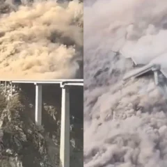 Bridge collapses less than a year after completion