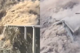 Bridge collapses less than a year after completion Thumbnail