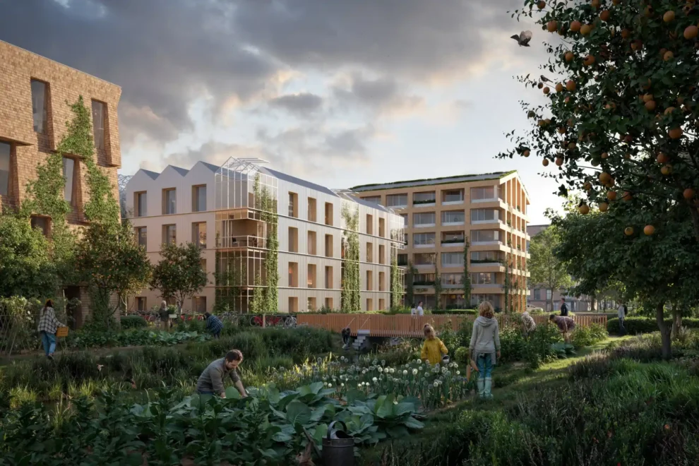 Swedish architects land major bio-based development